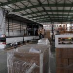 Како некои држави го искористиле увозот како отскочна штица?