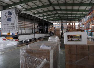 Како некои држави го искористиле увозот како отскочна штица?