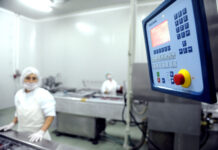 Странските инвестиции се важни, но нема раст без силна домашна економија