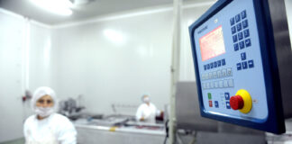 Странските инвестиции се важни, но нема раст без силна домашна економија