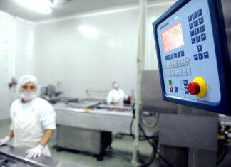 Странските инвестиции се важни, но нема раст без силна домашна економија