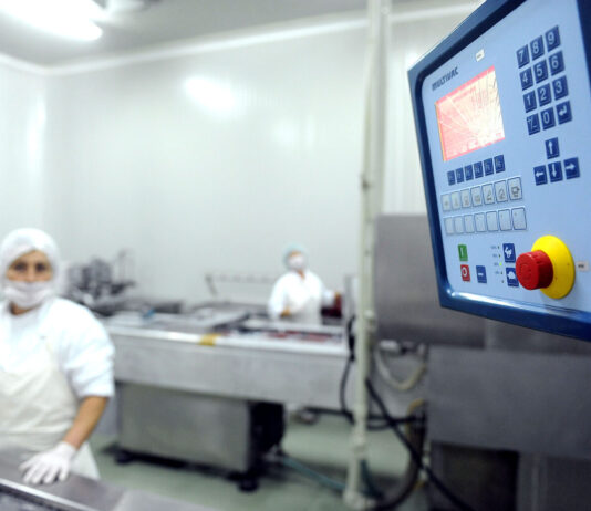 Странските инвестиции се важни, но нема раст без силна домашна економија