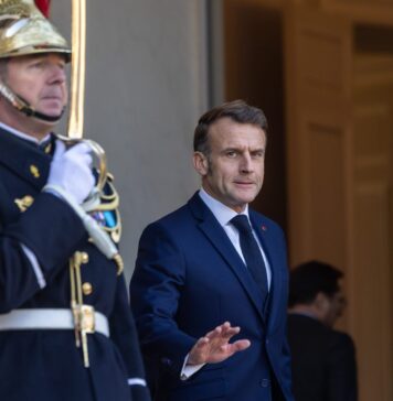 Залез на макронизмот