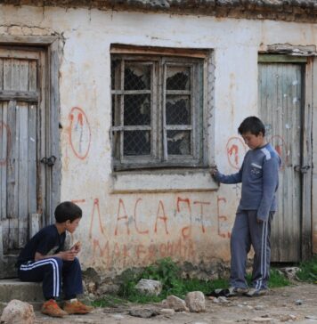 Ускратувањето на мајчиниот јазик е против сите светски конвенции