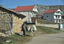 Македонците во Голо Брдо – живи сенки на институционалниот заборав