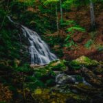 Скриен рај на Здравко Чаушевски – ФОТОГРАФИЈА НА НЕДЕЛАТА