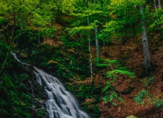 Скриен рај на Здравко Чаушевски – ФОТОГРАФИЈА НА НЕДЕЛАТА