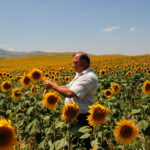 Технологијата на биопроизводство на храна во биореактори