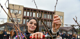 Фото: Со закројување на лозата традиционално одбележан Свети Трифун во „Стоби“