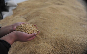 Зошто светот повторно се врти кон сопствено производство на храна?