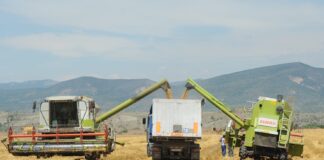 На македонското мени месо од Бразил, сирење од Германија и грав од Киргистан