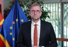 Дали зелената транзиција е големиот скок за С. Македонија?