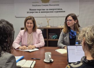 Божиновска: Зелената транзиција и модернизацијата се клучни за одржлива енергетика
