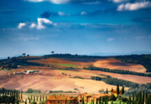 Патеката на чемпресите на Гонца Перунковска – ФОТОГРАФИЈА НА НЕДЕЛАТА