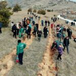 Засадени 6.000 садници даб во Прилеп