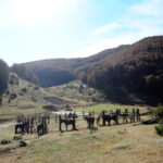 Сонцето изгреа и денес