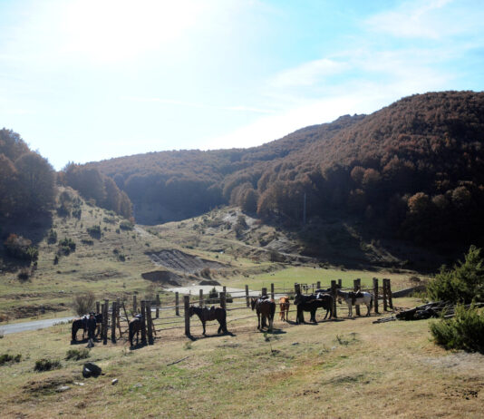 Сонцето изгреа и денес