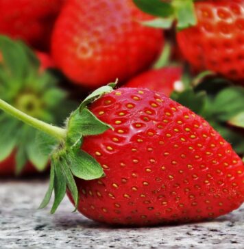 Највалканите овошја и зеленчуци за 2026 година