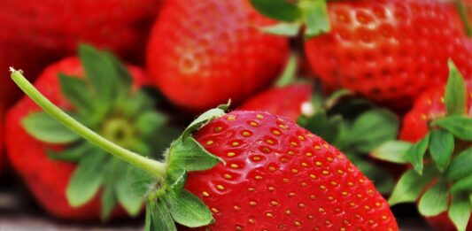 Највалканите овошја и зеленчуци за 2026 година