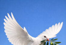 Напад врз Иран – дали Трамп навистина е силен да ја смени историјата?