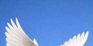 Напад врз Иран – дали Трамп навистина е силен да ја смени историјата?