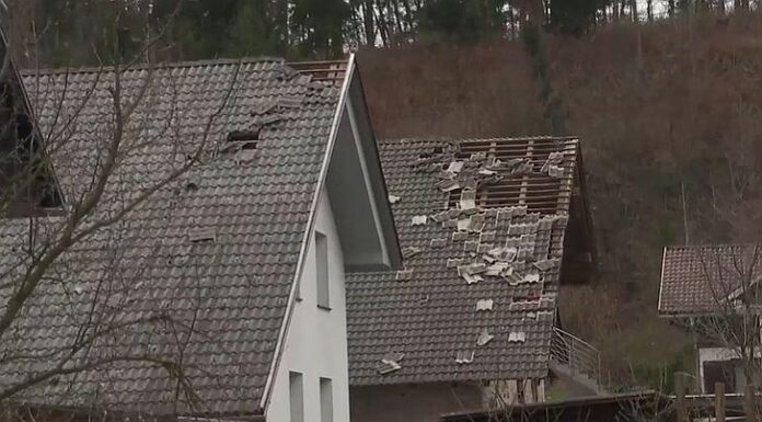 Невреме ја парализира Словенија, соборени дрвја и покриви