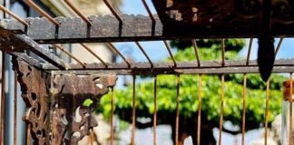 Скриени последици од животот во кафез