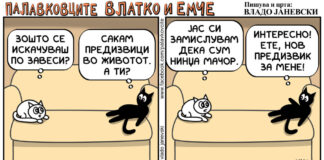 Палавковците Влатко и Емче