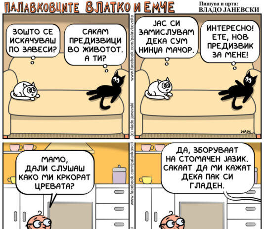 Палавковците Влатко и Емче