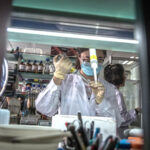 Кинески истражувачи создаваат нова трансплантациска терапија за тешки болести