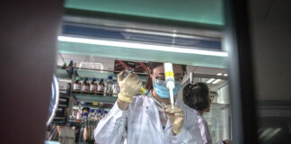 Кинески истражувачи создаваат нова трансплантациска терапија за тешки болести