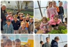 Со многу грижа и труд до здрав и вкусен зеленчук