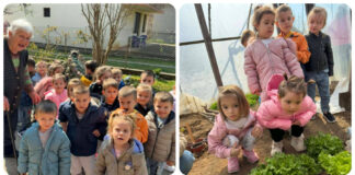 Со многу грижа и труд до здрав и вкусен зеленчук