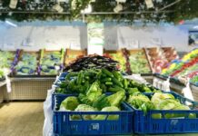 Платформа со вештачка интелигенција за следење контаминирана храна