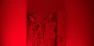 Исповеди за меморијата на телото, траумата и за културниот код