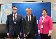 Dimitrieska Kocoska Slavevski