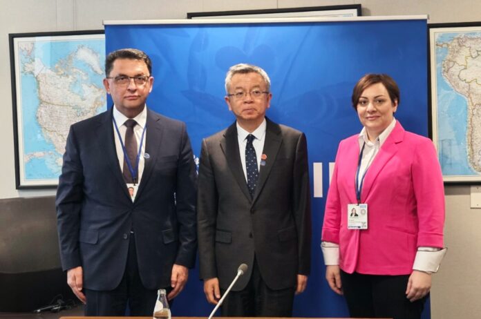 Dimitrieska Kocoska Slavevski