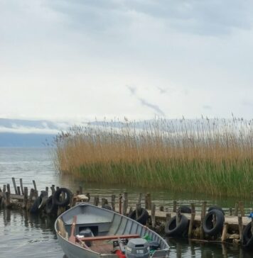 Децениска негрижа за Шум без кревање шум