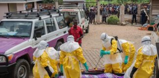 Ebola Kongo