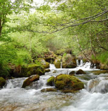 Отворена е изложбата „Вода: Од исконски верувања до современ пулс“