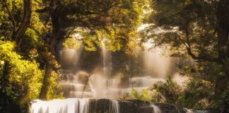 Раселовите Водопади во Тасманија на Миле Манев – ФОТОГРАФИЈА НА НЕДЕЛАТА