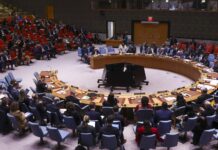 UN Security Council