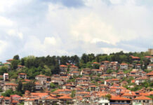 Крајезерски допир на Алисија Колевска – ФОТОГРАФИЈА НА НЕДЕЛАТА