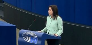 Поранешна грчка европратеничка осудена за злоупотреба на лични податоци на иселеници