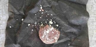 Во саламата пронајдена во Расадник имало смртоносен инсектицид, предупредува ЈП Лајка