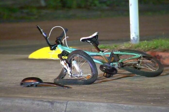velosiped vizbegovo