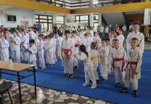 Младите каратисти ги демонстрираа стекнатите вештини