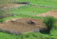 Комасација: Десет прашања од читателите на „Нова Македонија“ и десет одговори од професори на земјоделските факултети во Скопје и во Штип