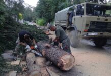 ФОТО: И Армијата се вклучи во санирањето на последиците од невремето