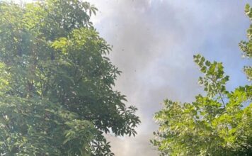 (ВИДЕО) Се запали објект кај Јужен Булевар